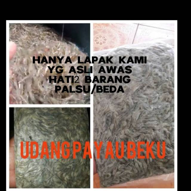 

Udang payau beku fress