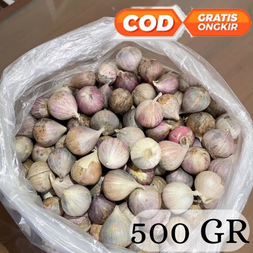 Bawang Putih Tunggal Lanang 500Gr