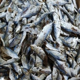 

Anak kembung Rebusan 1000gr