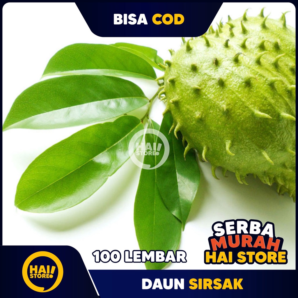 

100 LEMBAR DAUN SIRSAK SEGAR ORGANIK 1000X LEBIH AMPUH ATASI KANGKER HAI STORE