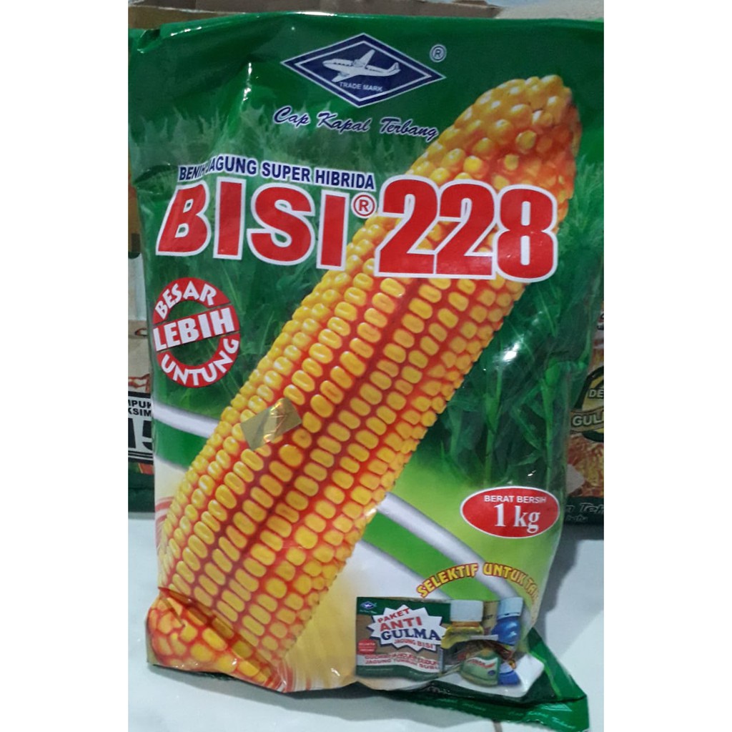 Benih Bibit JAGUNG BISI 228 murah