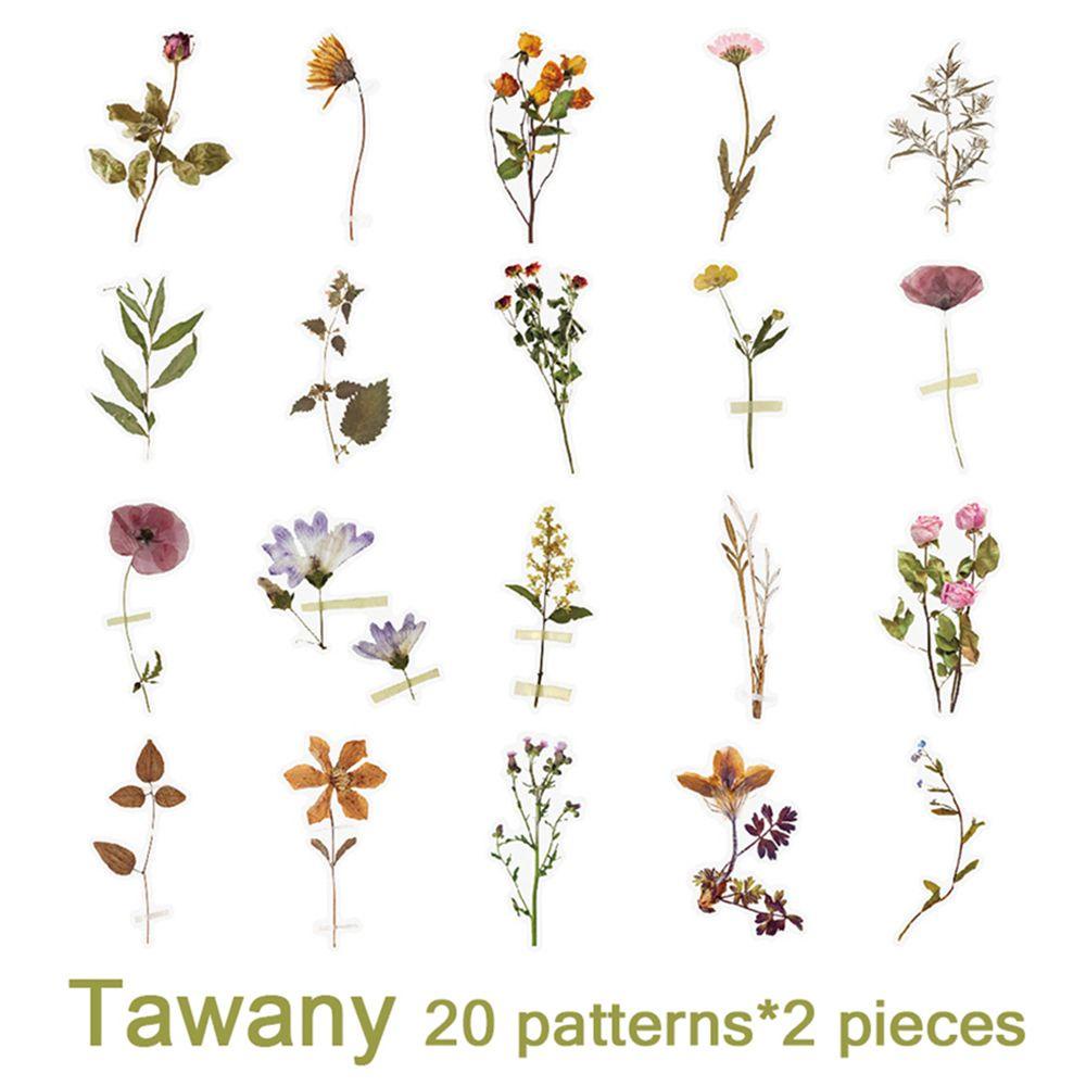 Lanfy Stiker Bunga 40 Pcs Tahan Air Transparan Perlengkapan Jurnal Aesthetic Flowers Stationery Botanical Stickers