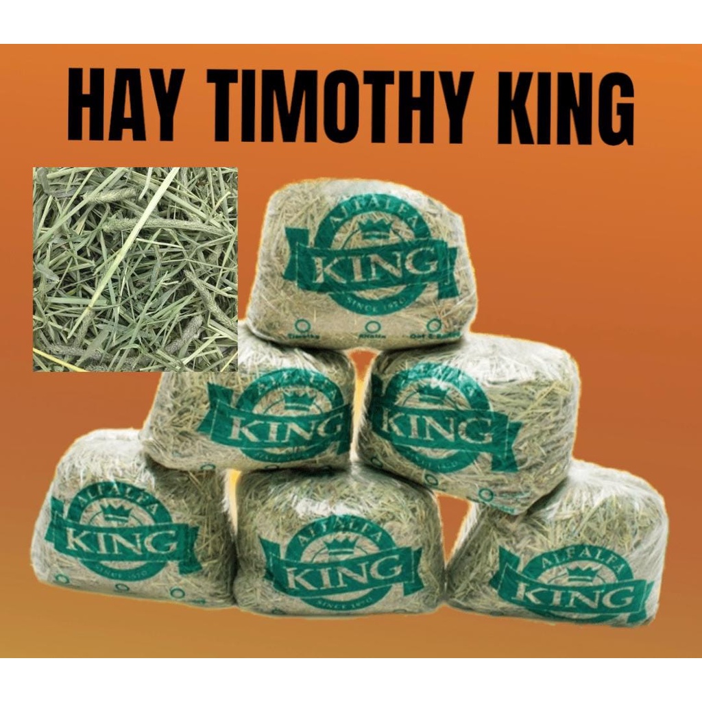 RUMPUT KELINCI TIMOTHY HAY KING ALFAFA 1000 GR