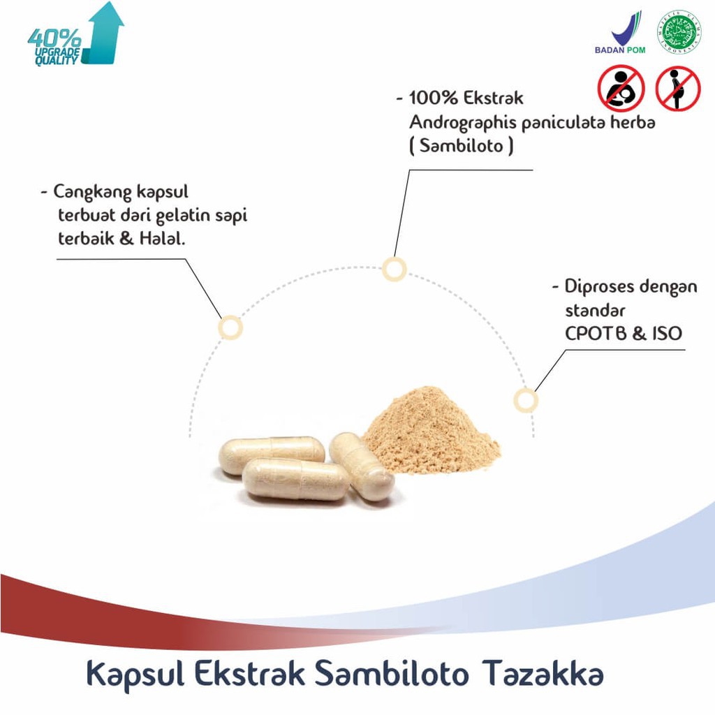 TAZAKKA SAMBILOTO  KAPSUL HERBAL 60 KAPSUL | EKSTRAK DAUN SUPLEMEN DAYA TAHAN TUBUH