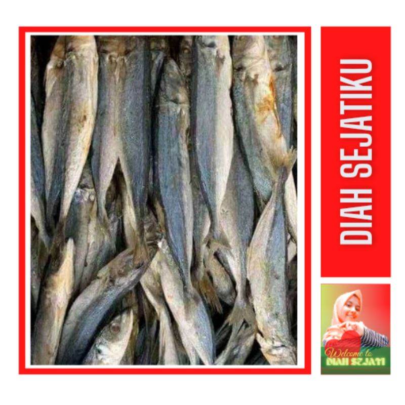 

DIAHMART Ikan Asin Peda / Pindang 250gram