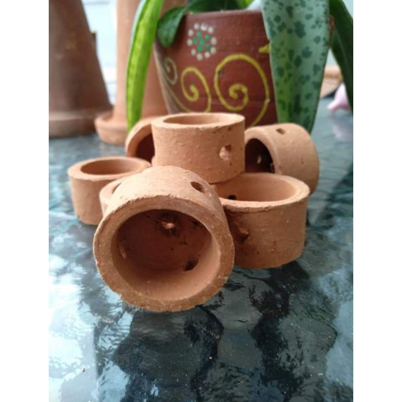 pot tanaman air aquarium aquascape