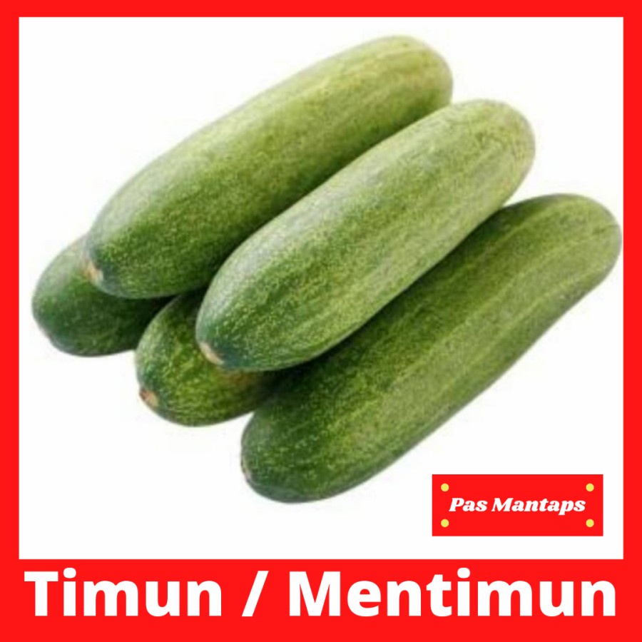 

Timun Mentimum Segar Pasar Murah Bekasi