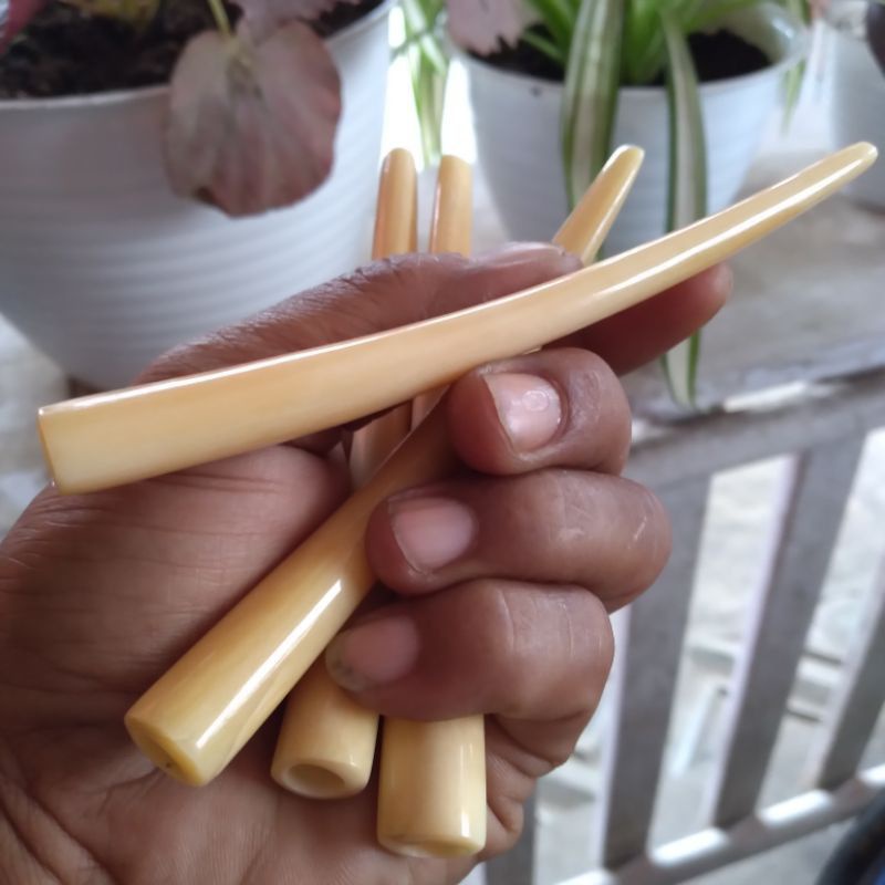 ONCE TULANG SAPI PANJANG 12CM RASA GADING