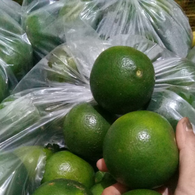 

Jeruk peras