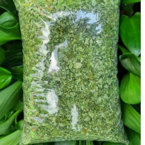 

™ teh DAUN KELOR kering 1KG 1 kg moringa ⍈