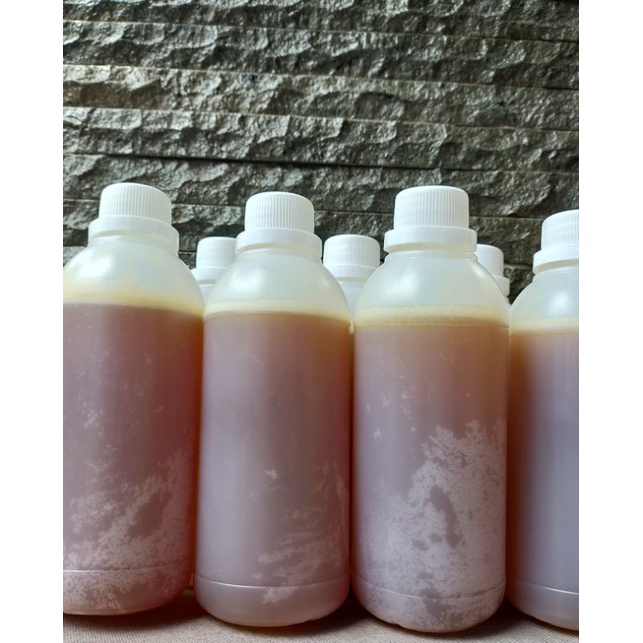 Madu Asli  Hutan Borneo