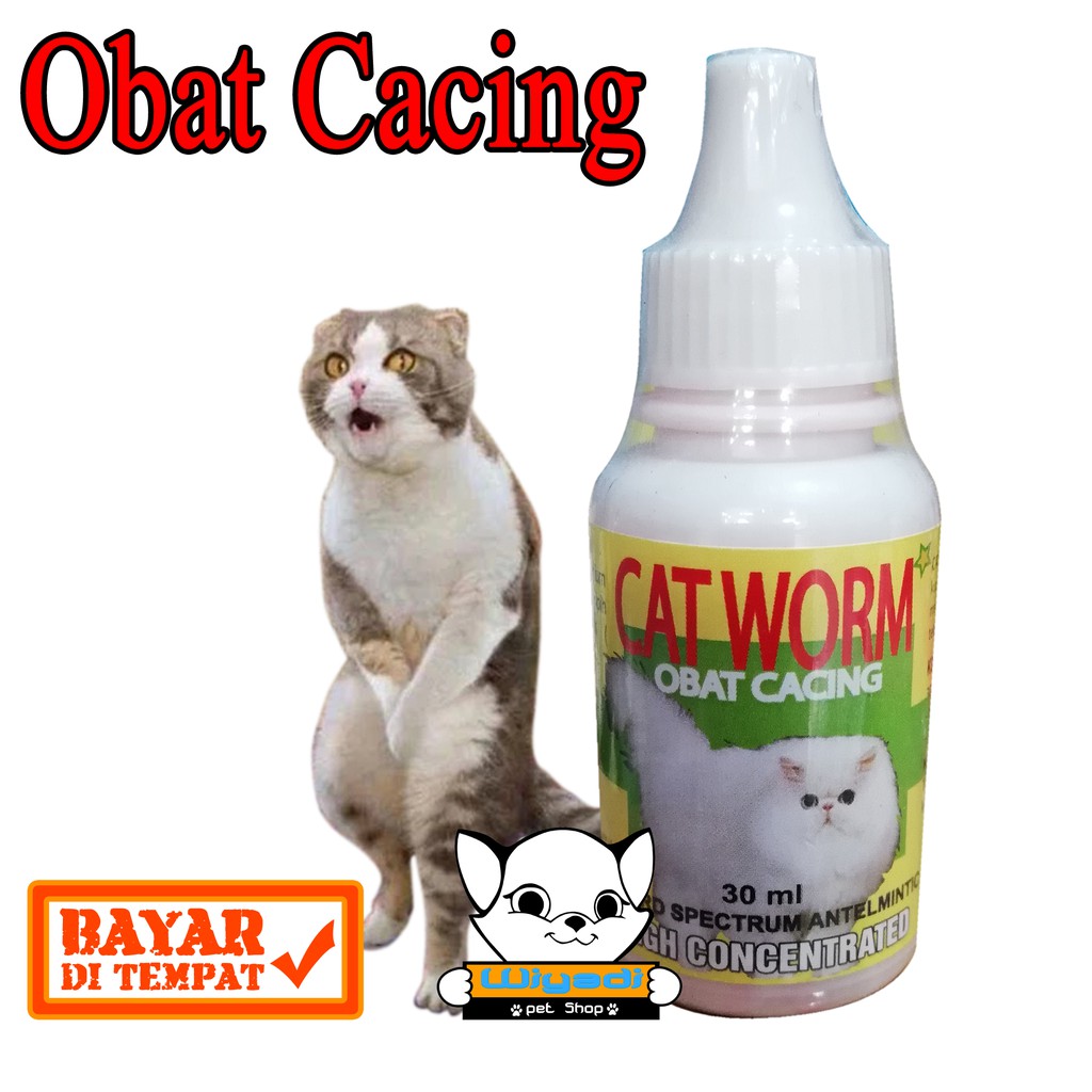CAT WORM drop Diformulasikan untuk kucing yang kurus cacingan
