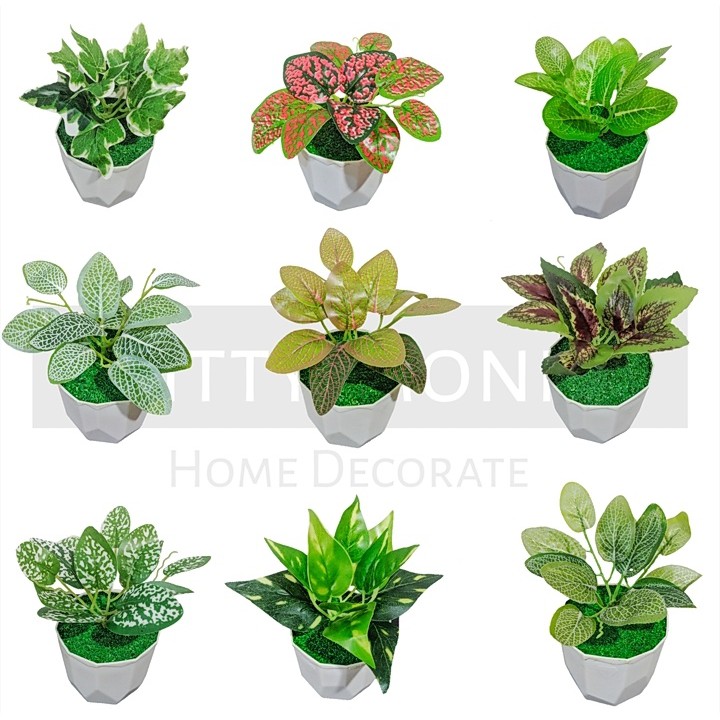 TANAMAN BUNGA ARTIFICIAL BUNGA HIAS DEKORASI HIASAN RUMAH BUNGA PLASTIK MURAH BUNGA AGLONEMA MINI-RANDOM