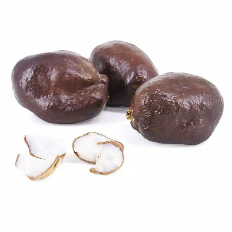 

PROMO 1KG ORIGINAL BUAH ZURIAT MADINAH 100% ASLI / PROMIL / MURAH / PROGRAM HAMIL /DOUM MADINAH