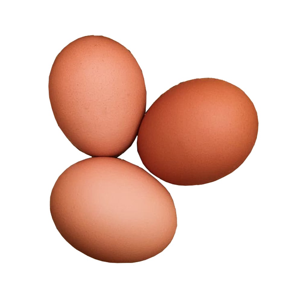 

telur ayam negeri isi 10