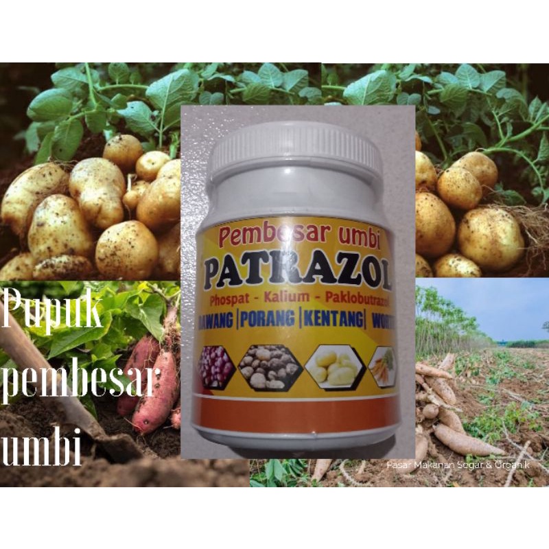 PATRAZOL Pupuk Pembesar Umbi Umbian 450 gram