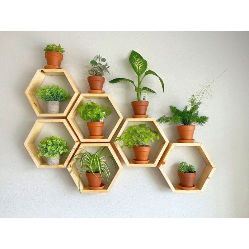 Rak hexagonal hiasan dinding kayu jati belanda