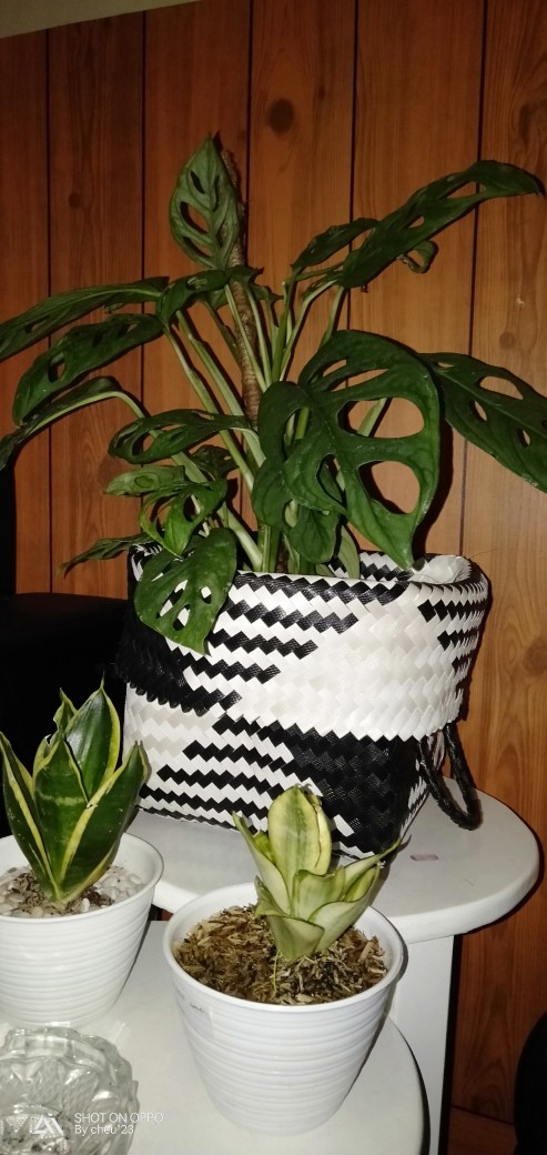 Keranjang Belanja / Tas Belanja / Keranjang Anyaman Plastik / Tas Kerajinan E05