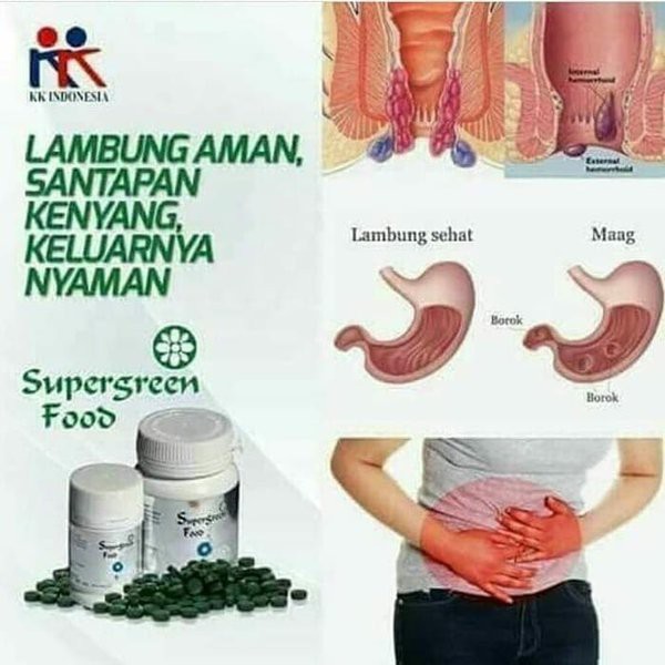 Suplemen Makanan Sel Supergreen Food SGF Super Green Food Alga Chlorella Spirulina KK Indonesia