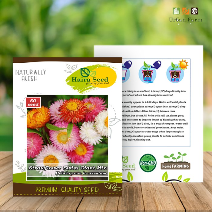 Benih-Bibit Bunga Strawflower Swiss Giant Mix (Haira Seed)