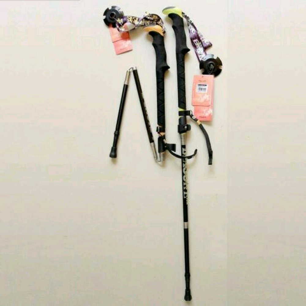 exponent trekking pole