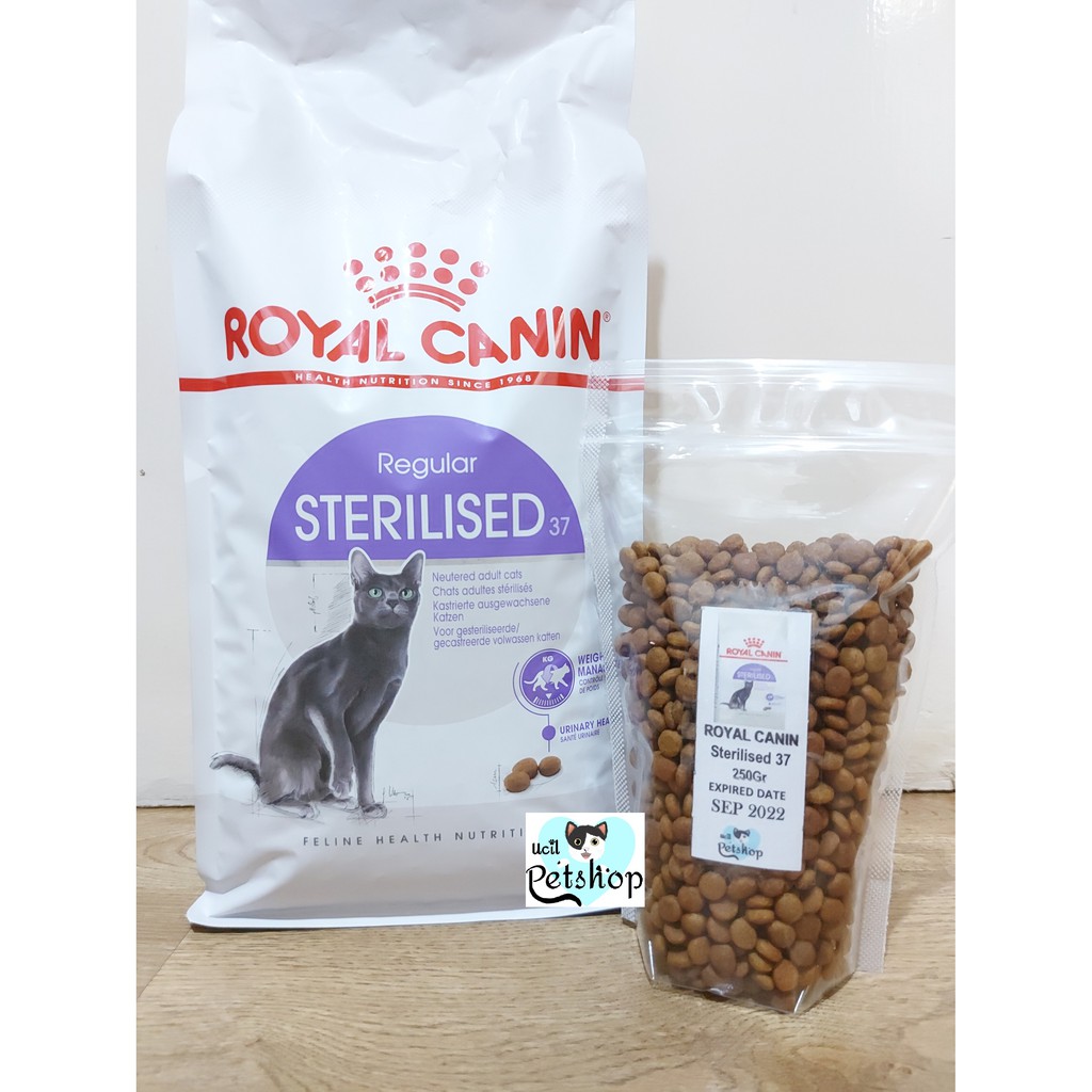 Royal Canin Struvit Katze