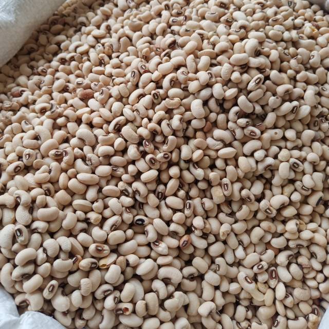 

Kacang Tunggak Putih 500 gram