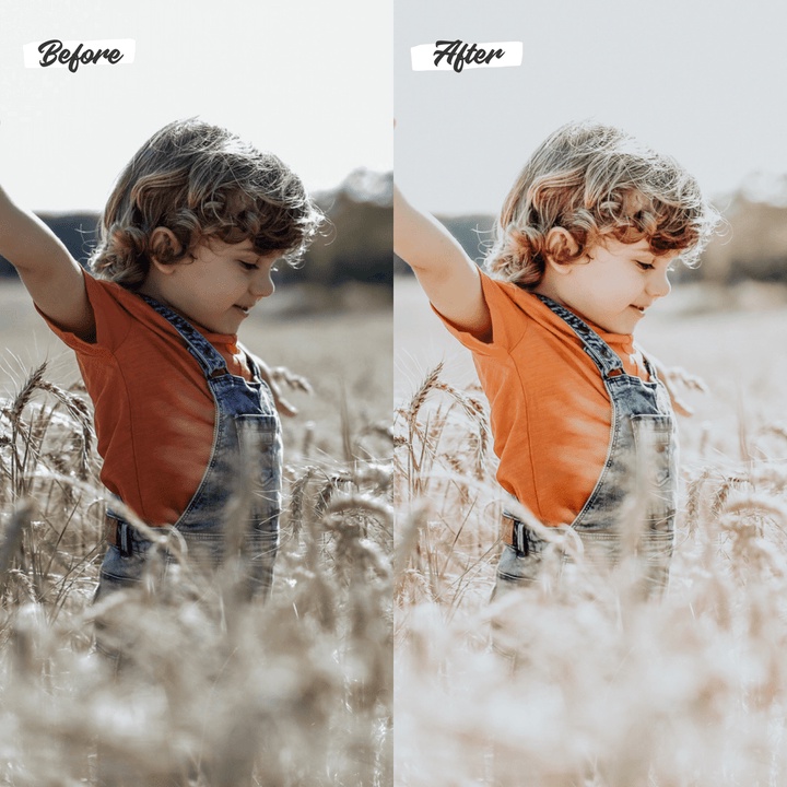 6 Premium Lightroom Preset Boho Dream Pack