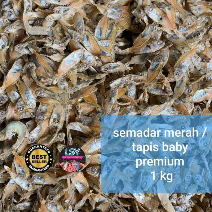 

[COD] ikan asin semadar merah / tapis baby premium 1 kg [COD]