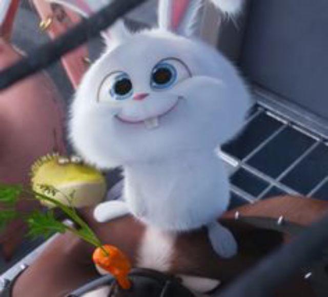 [ready] Handuk Mini Traveling / Magic Towel Mini