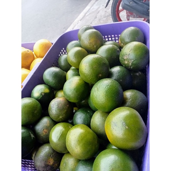 

JERUK PERAS 1 KG