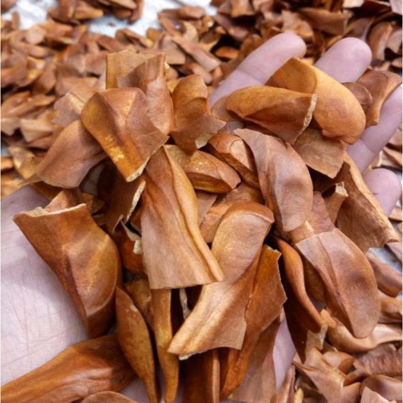 

Paket murah 100gram biji mahoni kualitas bagus dan bersih real⭐⭐⭐⭐⭐