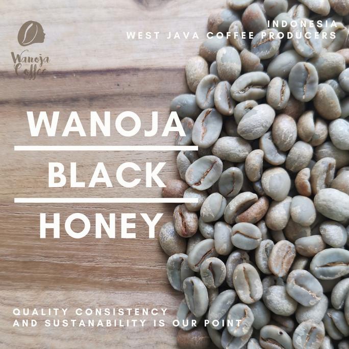 

[ COD ] Green Bean Arabica Black Honey Jawa Barat Kamojang BIG SALE Kode 731