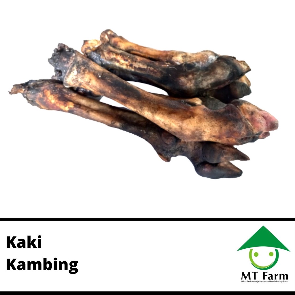 

Kaki Kambing Kaki Domba Utuh 1 Kg Bersih
