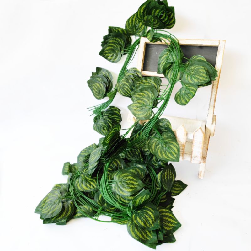 (12PCS) Daun Rambat Besar 30 helai AL95 Findlove Peperomia Semangka Ivy Calathea Begonia Vine Plastik