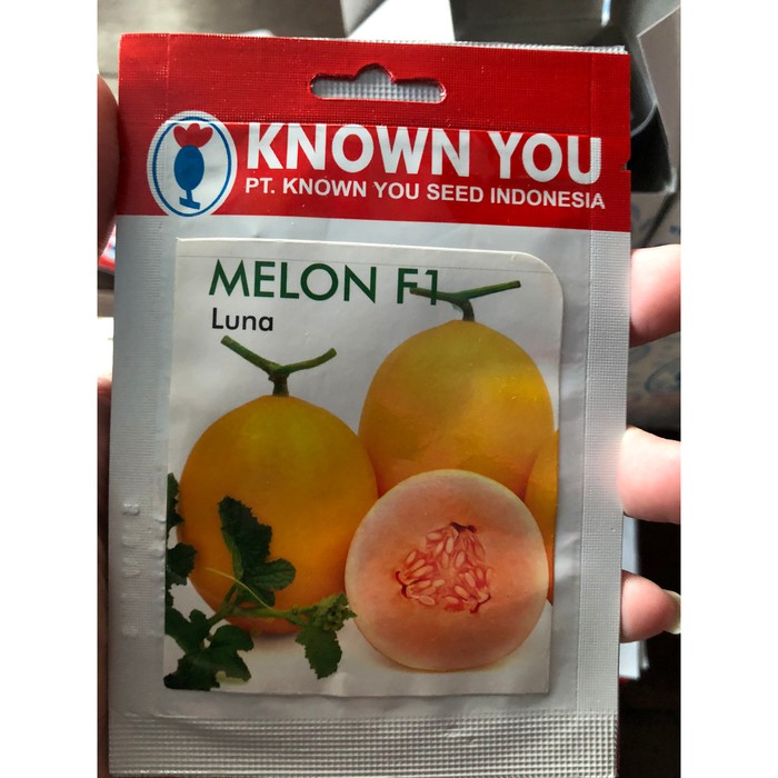 Benih Bibit Melon Golden Luna F1 Known You Seed SP (5 Benih)