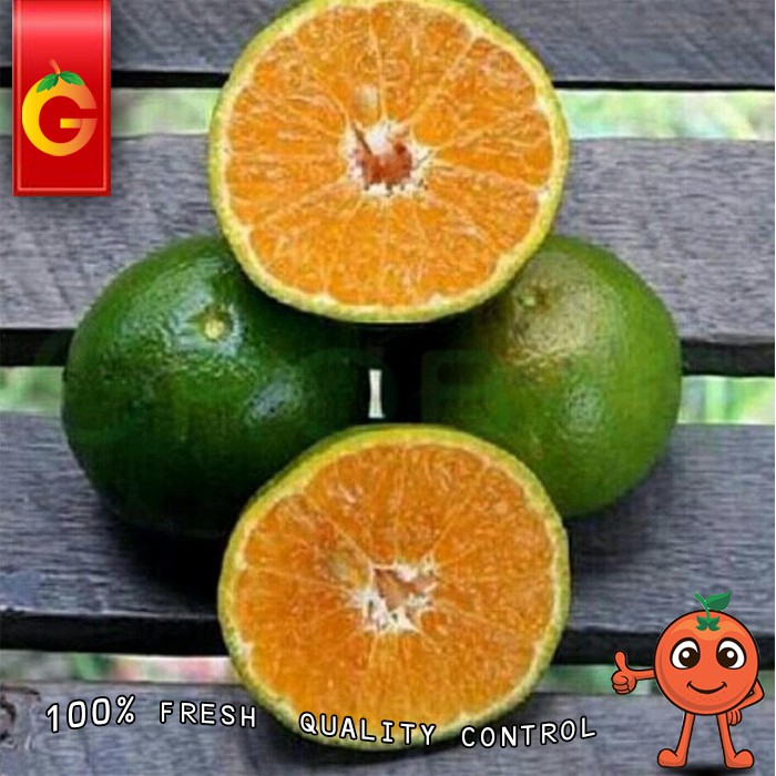 

JERUK PERAS FRESH 1 KG (GRAB/GOJEK ONLY)