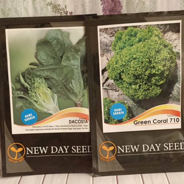 LT6/10 - Benih bibit unggul kemasan seribu selada Romaine Dacosta Alexa Green Red Coral New Day Seed