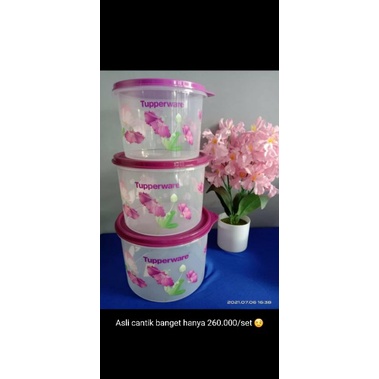Toples Tupperware Promo