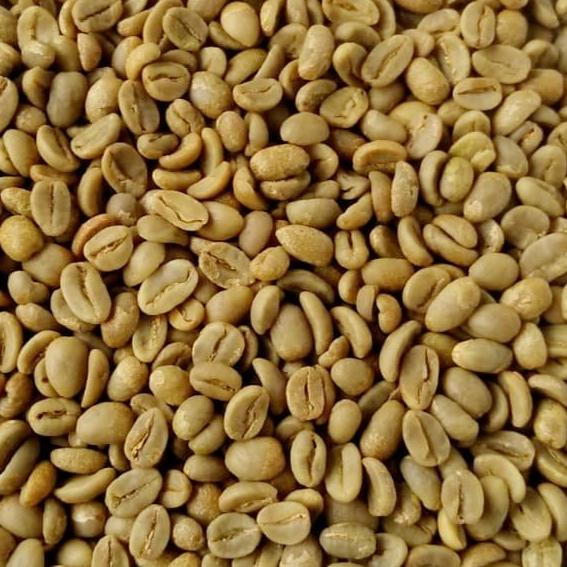 

Green Bean (Kopi Mentah) Gn. Tujuh Kayu Aro Natural Process