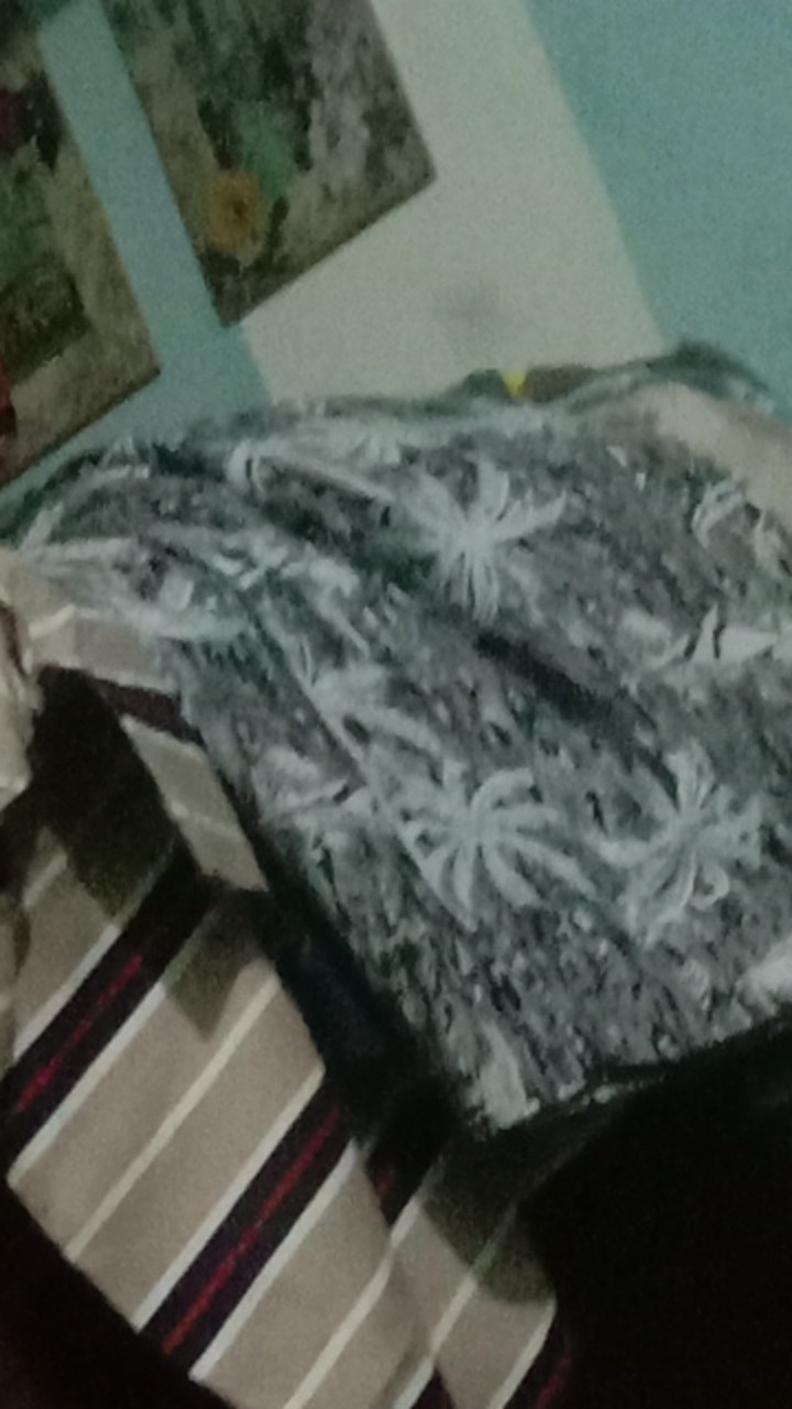 Kemeja Surfing  Motif