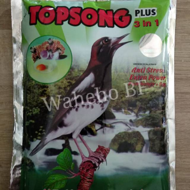Pakan Burung Voer Topsong Coklat
