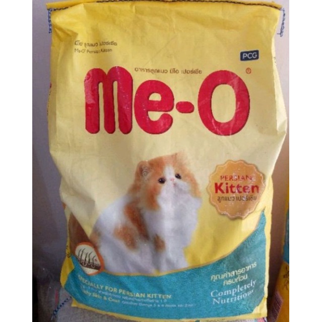 Meo kitten Persian 6,8kg