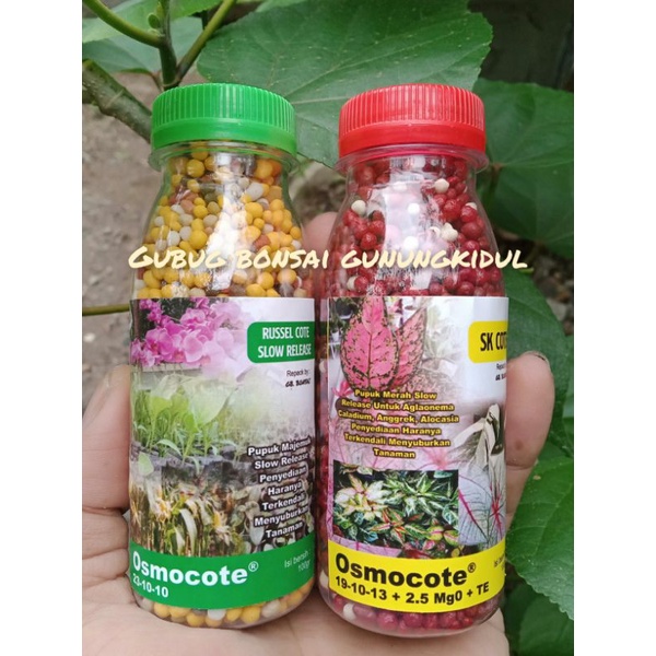 pupuk slow release , dekastar 19 10 13 , osmocote 23 10 10 ,pupuk bonsai  SR ,media tanam aglonema