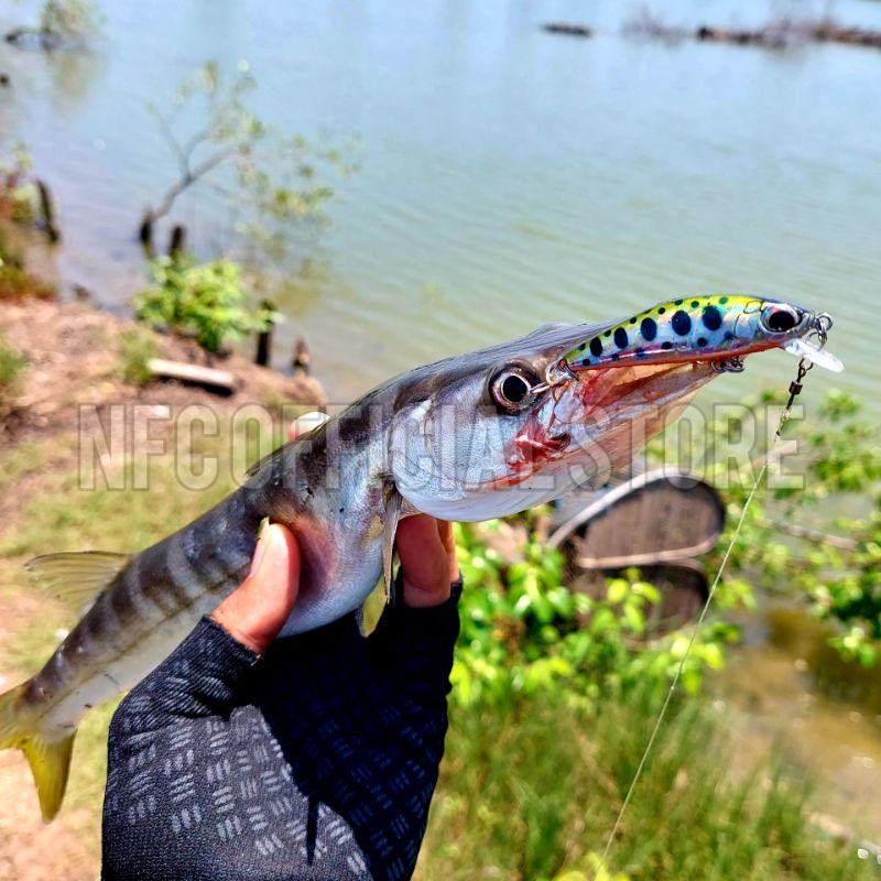 Lure minnow sinking 5,5 cm 6 gram HOOK 4X STRONG Replika Astuti Relix Nusantara