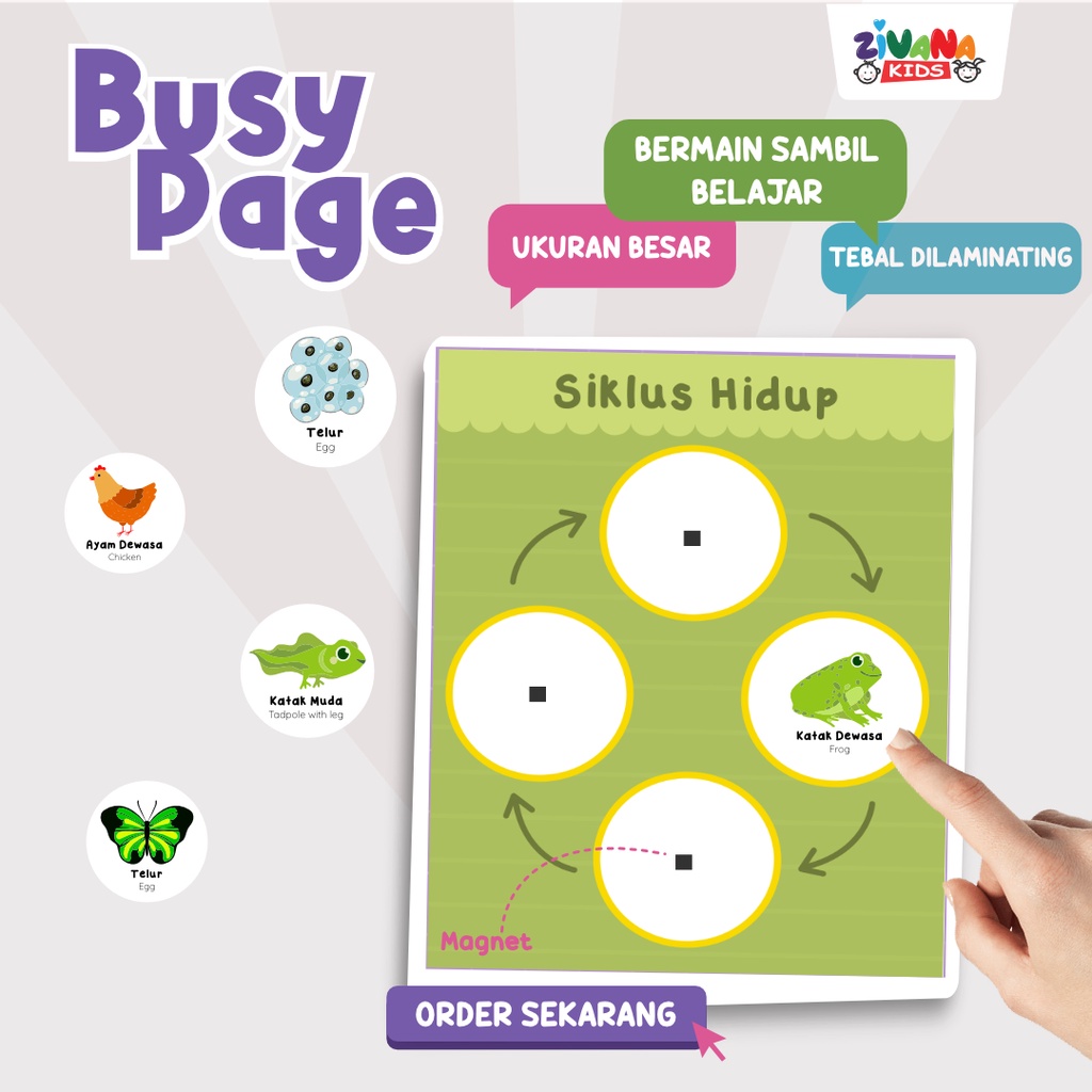 Zivana Kids - Busy Page Siklus Hidup Mainan Montessori Edukasi Board Game Anak - Activity Page
