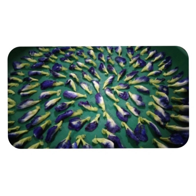 

bunga telang kering alami tanpa pengawet/murah 100gram