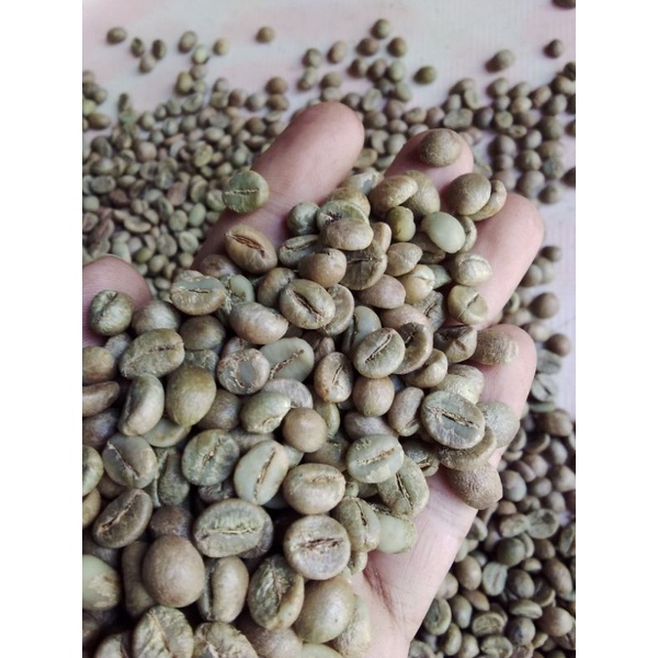 

kopi robusta temanggung