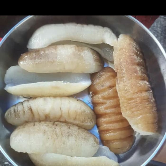 

EXPORT HOISOM/HOISEM/HAISOM/TERIPANG DURI DAGING TEBAL RASA SUPER ENAK