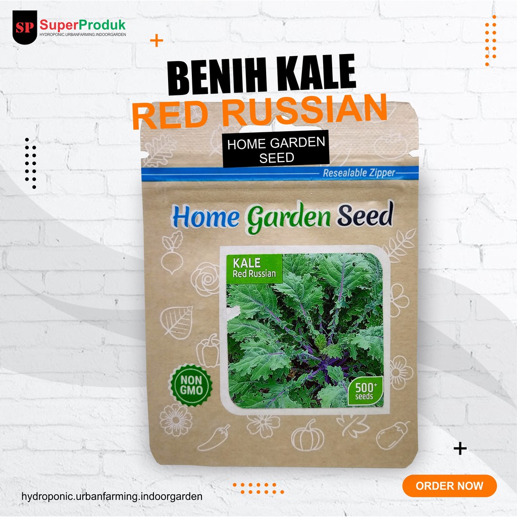 Benih-Bibit Kale Red Russian Home Garden Seed